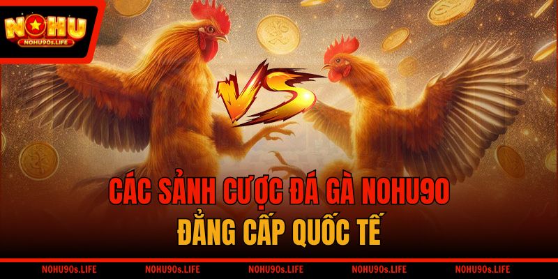 Các sảnh cược đá gà NOHU90 đẳng cấp quốc tế