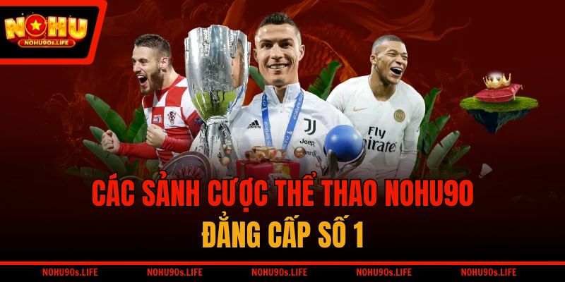 Các sảnh cược thể thao NOHU90 đẳng cấp số 1