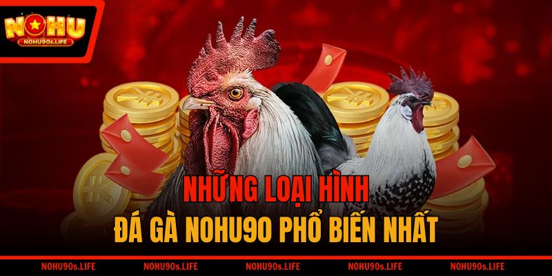 Những loại hình đá gà NOHU90 phổ biến nhất