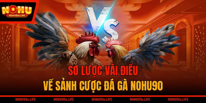 Sơ lược vài điều về sảnh cược đá gà NOHU90
