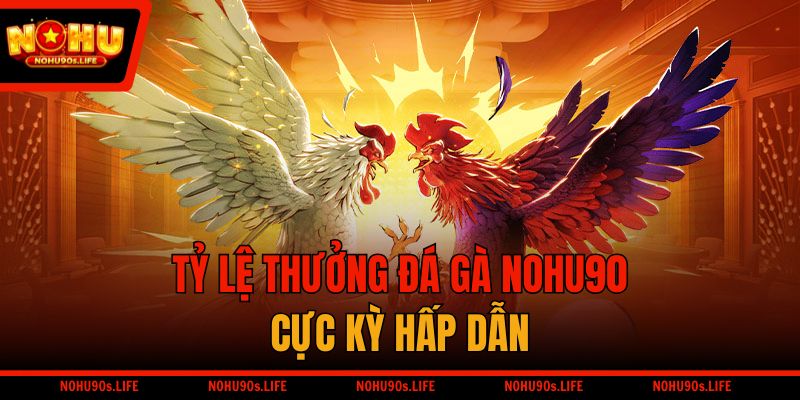 Tỷ lệ thưởng đá gà NOHU90 cực kỳ hấp dẫn